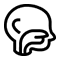 ENT (Ear, Nose & Throat)